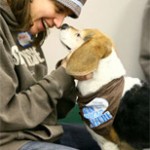 Dallas and Max the beagle