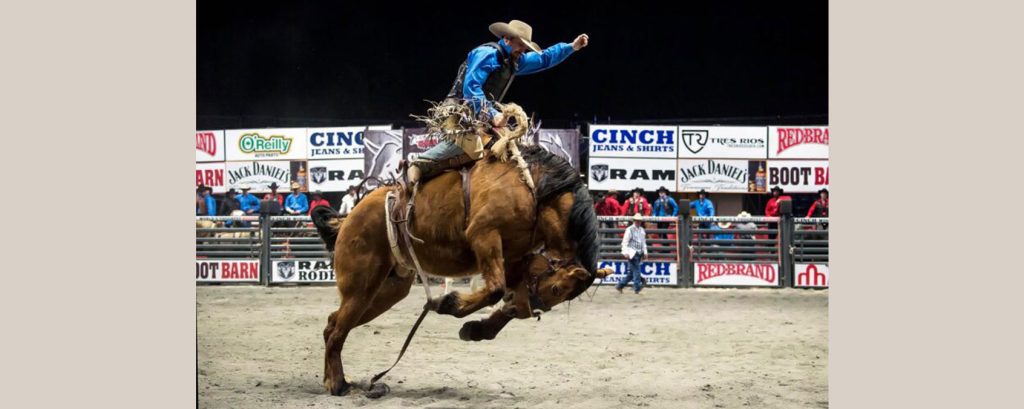 Action for Animals at Cinch World’s “Toughest” Rodeo – Animal Rights ...